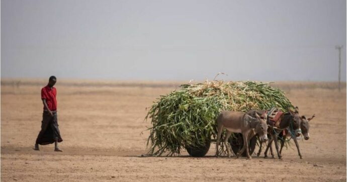 Donors pledge $8 billion as millions face famine in Horn of Africa