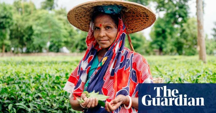 Spreading faster than ever’: Bangladesh’s tea pickers have world’s highest rate of leprosy