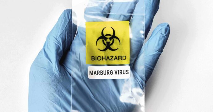 Marburg Virus Outbreak in Equatorial Guinea - BORGEN