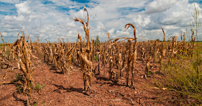 Nigeria Among Countries “A Step Away From Famine” This Year, Say Experts