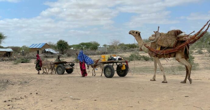 Hunger is still causing death in Somalia