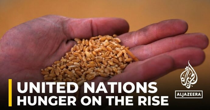 Food security: UN says hunger & malnutrition on the rise