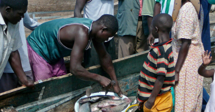 Kenya’s Lake Victoria floods leave orphaned children to run their households