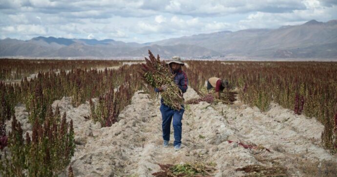 Severe drought parches Bolivia: âMy biggest fear is running out of food and waterâ