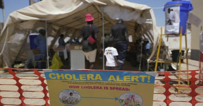 Zambia: Health authorites rallying to contain worst cholera outbreak in a decade  | Africanews