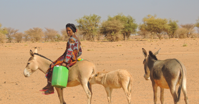 A New Gold Rush in Agadez: When Water Becomes a Luxury for Rural Populations