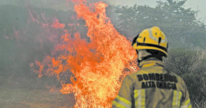 Bolivia declares nationwide state of emergency due to forest fires